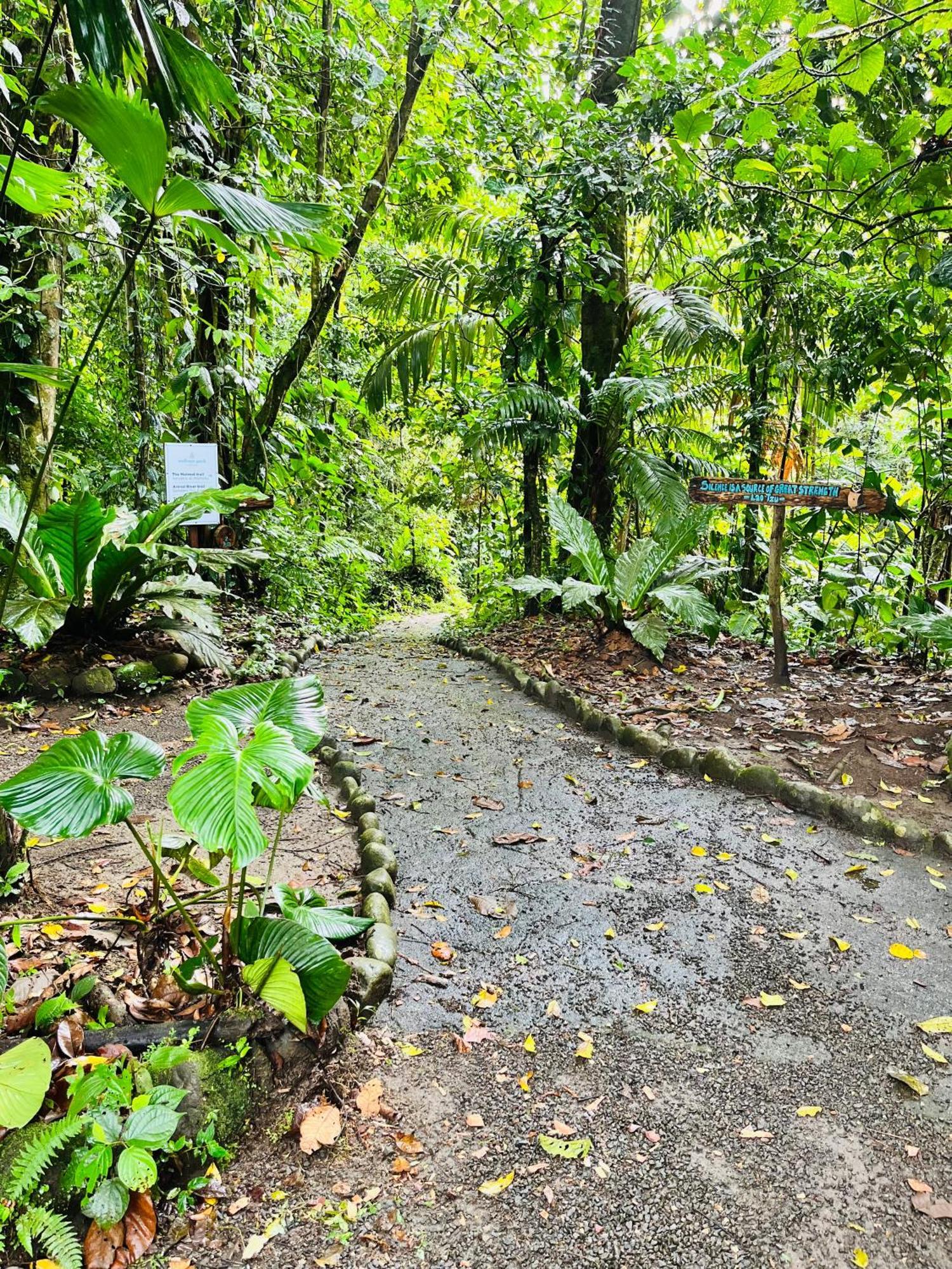 Wellness Park Cr Villa La Fortuna Buitenkant foto